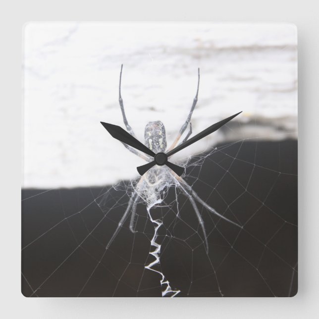 Relógio de Parede de Aranha (Frente)