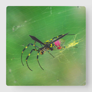 Relógio de Parede de Aranha de Aranha de Ouro