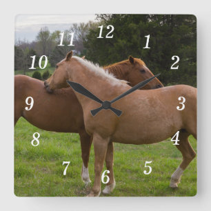 Relógio de Parede de Belas Balas