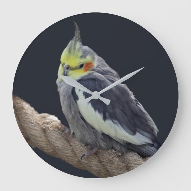 Relógio de Parede de Cacatua Fofo (Frente)