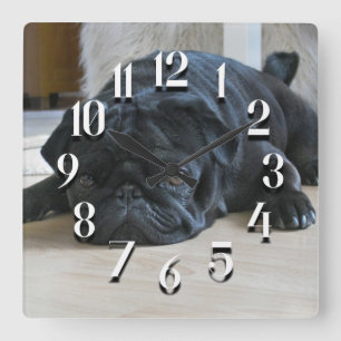 Relógio de Parede de Cachorrinho Pug Preto Fofo