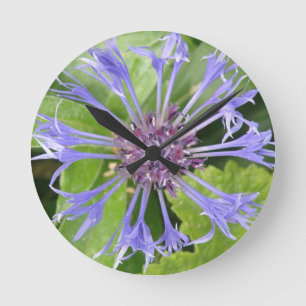 Relógio de Parede de Cornflower Azul