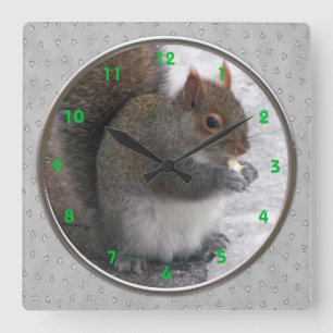 Relógio de Parede de Esquilo