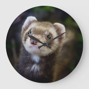 Relógio de parede de Ferret