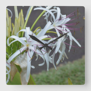 Relógio de Parede de Fragrância Floral