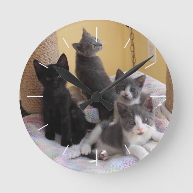 Relógio de Parede de Gatinhos Frescos (Frente)
