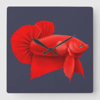 Relógio de Parede de Peixes Belga