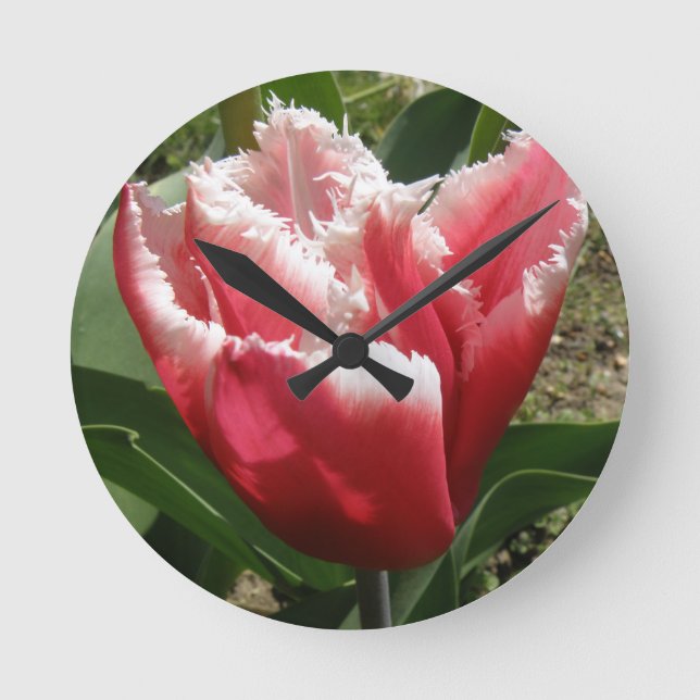 Relógio de Parede de Tulipas Rosa (Frente)