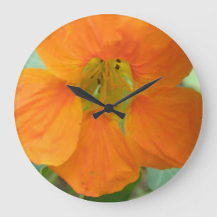 Relógio de Parede do Flor Laranja bonito Nasturti