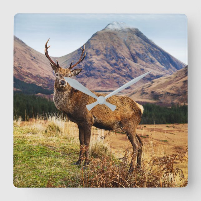 Relógio de Parede do Stag (Frente)