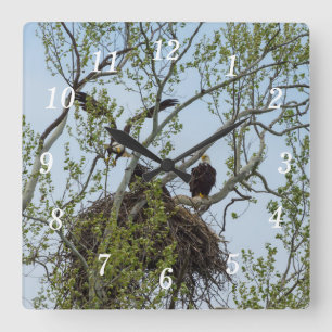 Relógio de Parede Doméstica