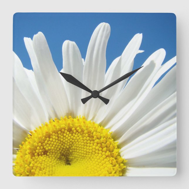 Relógio de Parede Flor de Margarida Presentes Deco (Frente)
