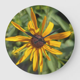 Relógio de Parede Floral Black-Eyed Susan   Amarel