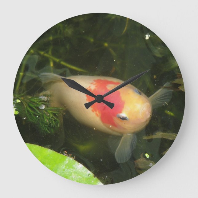 Relógio de Parede Goldfish (Frente)