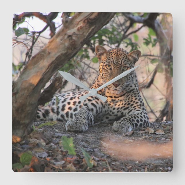 Relógio de Parede Leopardo (Frente)