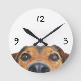 Relógio de Parede Personalizado para Animais de Es