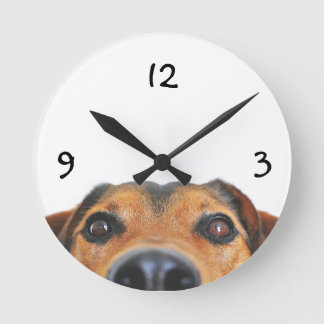 Relógio de Parede Personalizado para Animais de Es