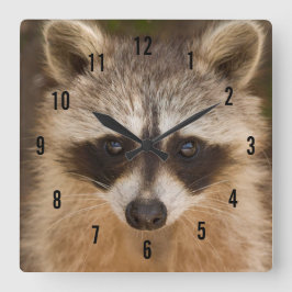 Relógio de Parede Raccoon