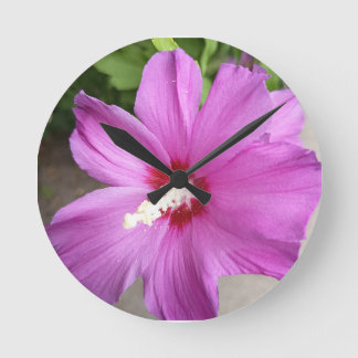 Relógio de Parede Redondo Flor de Hibisco Rosa