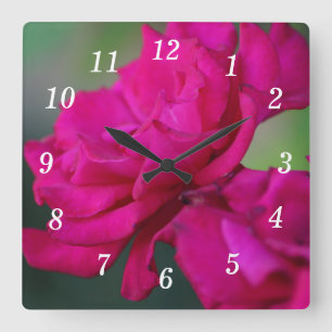Relógio de Parede Rosa Rosa Sanguejada