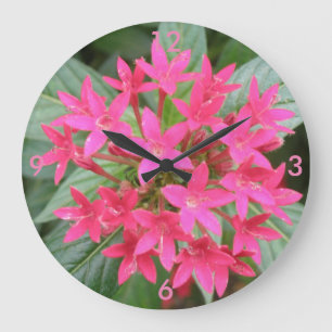 Relógio de Parede Tropical Rosa Brilhante