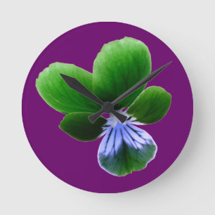 Relógio de Parede Verde Pansy