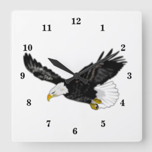 Relógio de parede voadora da águia-baleeira americ