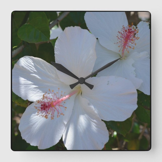 Relógio de Parede White Fragrance (Frente)