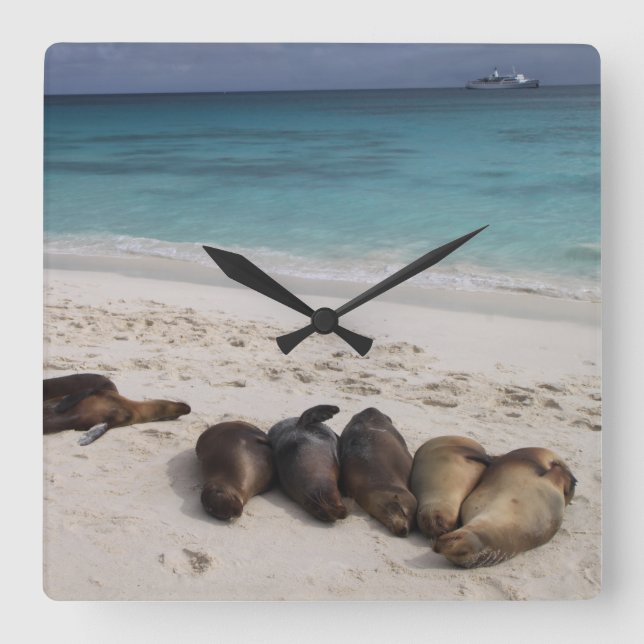 Relógio de Praia (Frente)