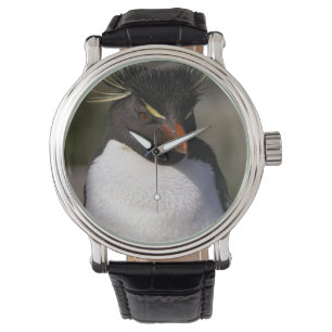 Relógio De Pulso A Antártica, ilhas Secundário-Antárcticas, 5 su