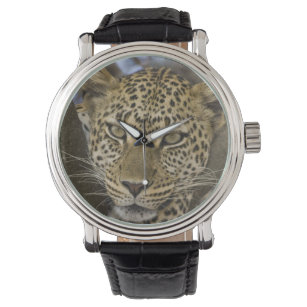 Relógio De Pulso África. Tanzânia. Leopardo em Serengeti