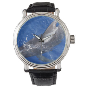 Relógio De Pulso Baleia piloto em Havaí