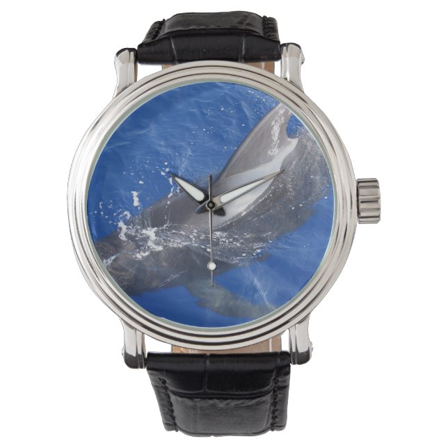 Relógio De Pulso Baleia-Piloto no Havaí (Frente)