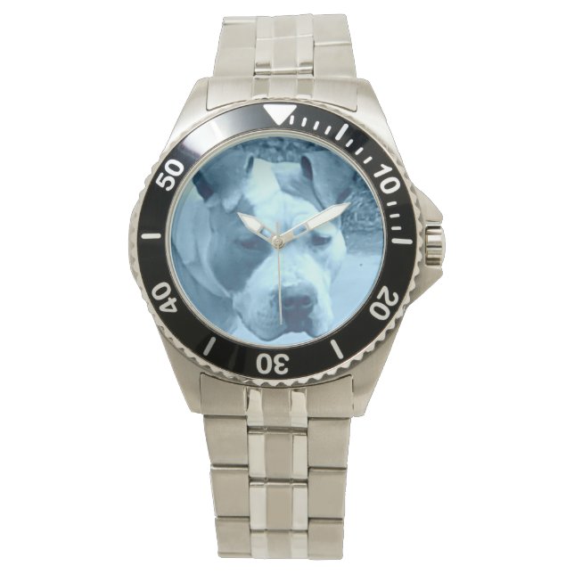 Relógio De Pulso Blue Pit Bull Watch (Frente)