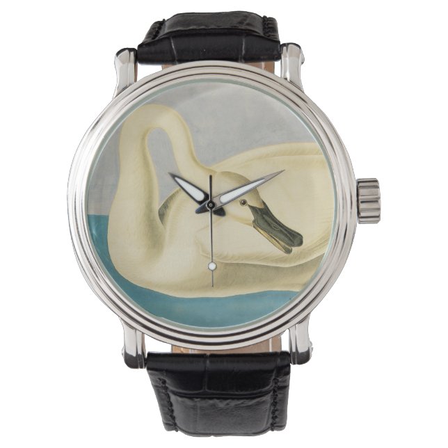 Relógio De Pulso Cisne Trombeteiro por John James Audubon, Ave Vint (Frente)