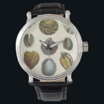 Relógio De Pulso Coleção de Conchologia<br><div class="desc">Se você não pode ir à praia hoje, pegue esta imagem clássica do estilo único da vida marinha de Albertus Seba! Imagine-se numa praia descobrindo anêmonas do mar que a natureza tem a oferecer. Esses conchas e plantas marinhas pelo oceano estão cercados por areia quente nesta pintura e seriam excelentes...</div>