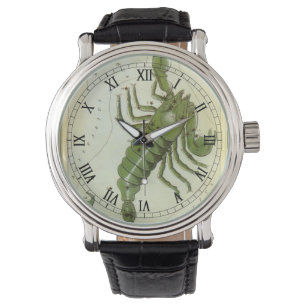 Relógio De Pulso Escorpião, Espelho de Urânia Constelação Vintage