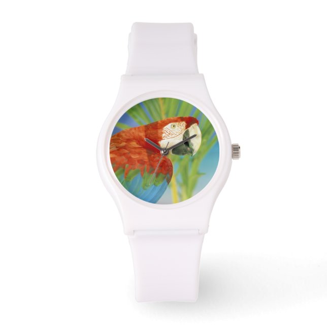 Relógio De Pulso EUA, Havaí. Papagaio (Frente)