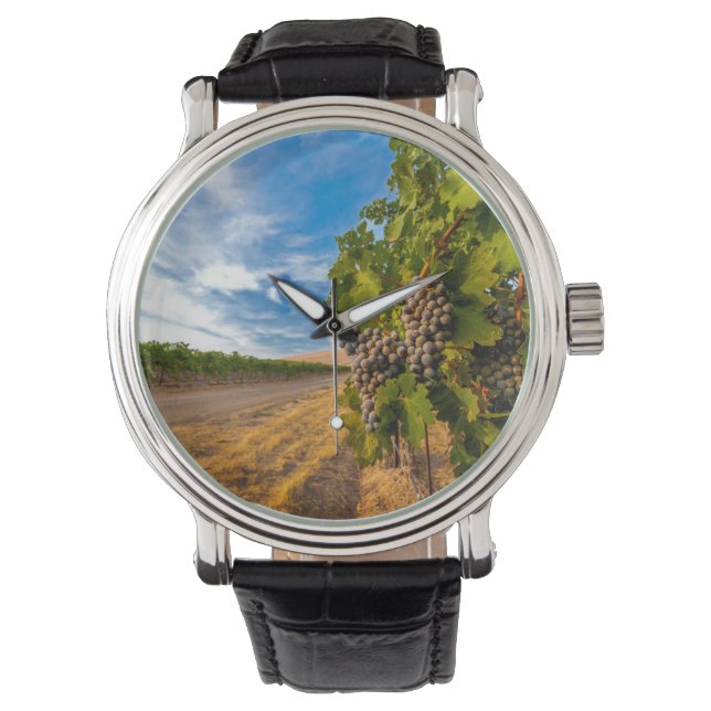 Relógio De Pulso EUA, Washington, Vale de Yakima. Uvas Merlot (Frente)