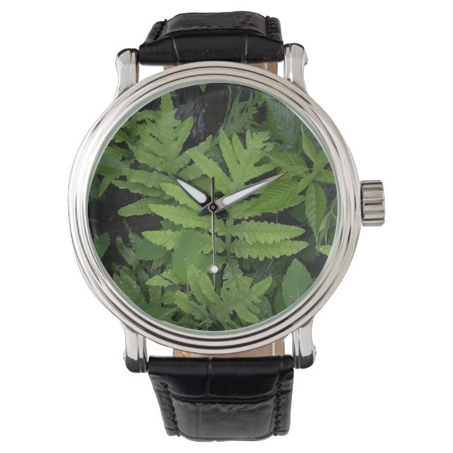 Relógio De Pulso Green Fern Watch (Frente)