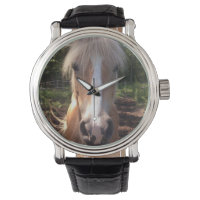 Haflinger Horse Watch