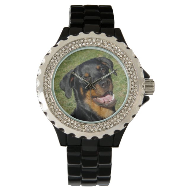 Relógio De Pulso Heidi Cute Rottweiler Watch (Frente)