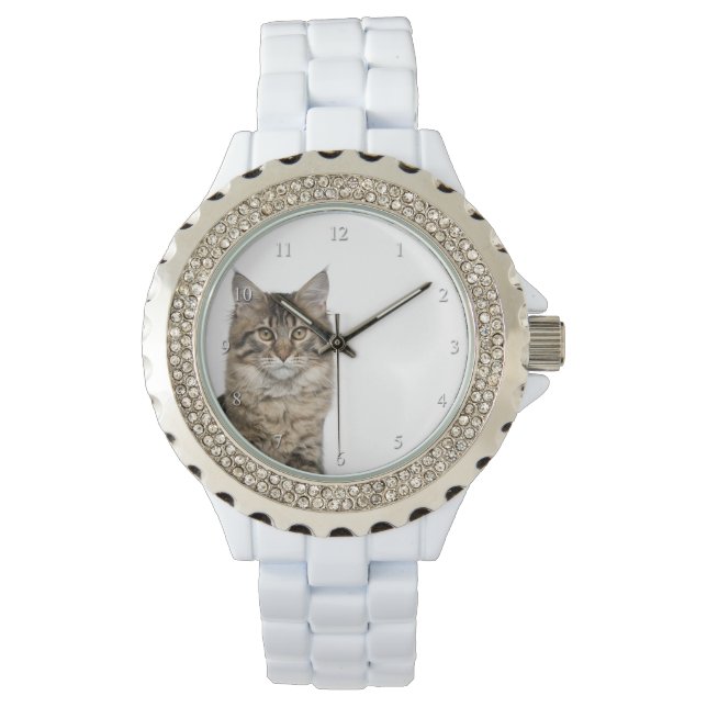 Relógio De Pulso Maine Coon Cat Watch (Frente)