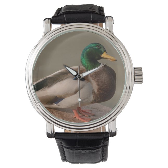 Relógio De Pulso Mallard Duck Drake Watch (Frente)