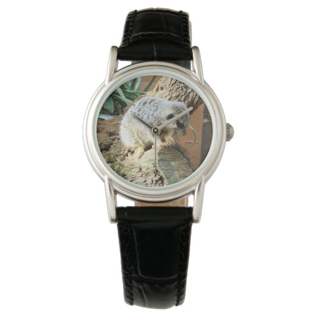 Relógio De Pulso Meerkat Cat Naps, Damas Black Leather Watch. (Frente)