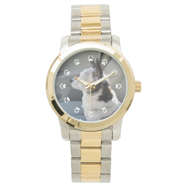 Relógio De Pulso Monitorização Chihuahua Colorida Oreo (Frente)