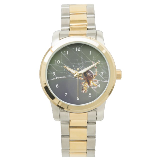 Relógio De Pulso Observar - Aranha na Web (Frente)