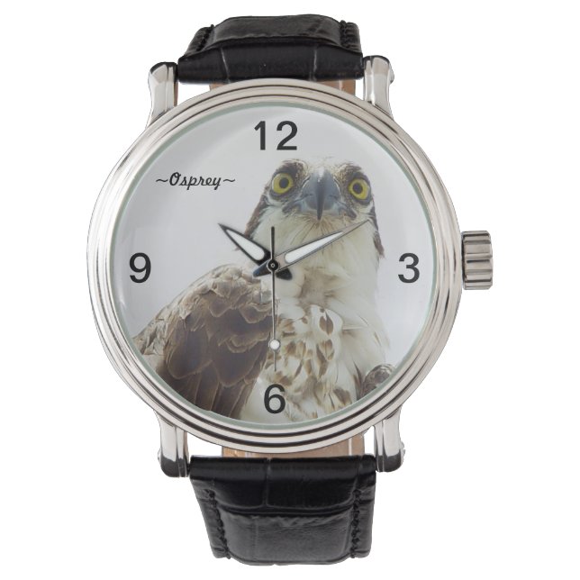 Relógio De Pulso Olhos de pássaros Osprey Retrato (Frente)