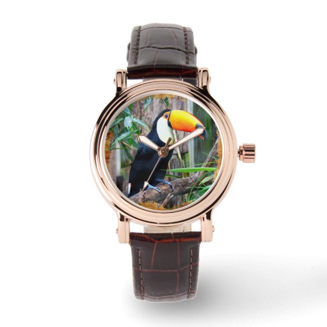 Relógio De Pulso Opções de monitoração do Toucan 5B (Frente)