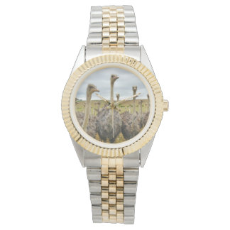 Relógio De Pulso Ostrich Bird